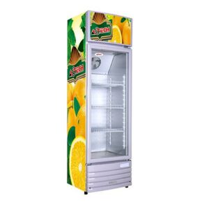 Refrigerateur Vitrine ASTECH FV 274