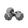 Haltere de Fitness 2.5KG