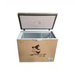 Congelateur Horizontal SNOWSEA 300L BD-258G