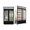 Refrigerateur Vitrine ROCH 2 Portes RSF-700-O