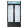 Réfrigérateur Hisense 2 Portes Vitrine Noir FL81WC